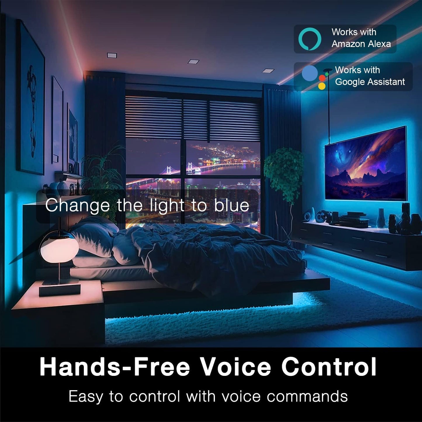 https://m.media-amazon.com/images/I/71NJq1Sm9JL._AC_SL1500_.jpg