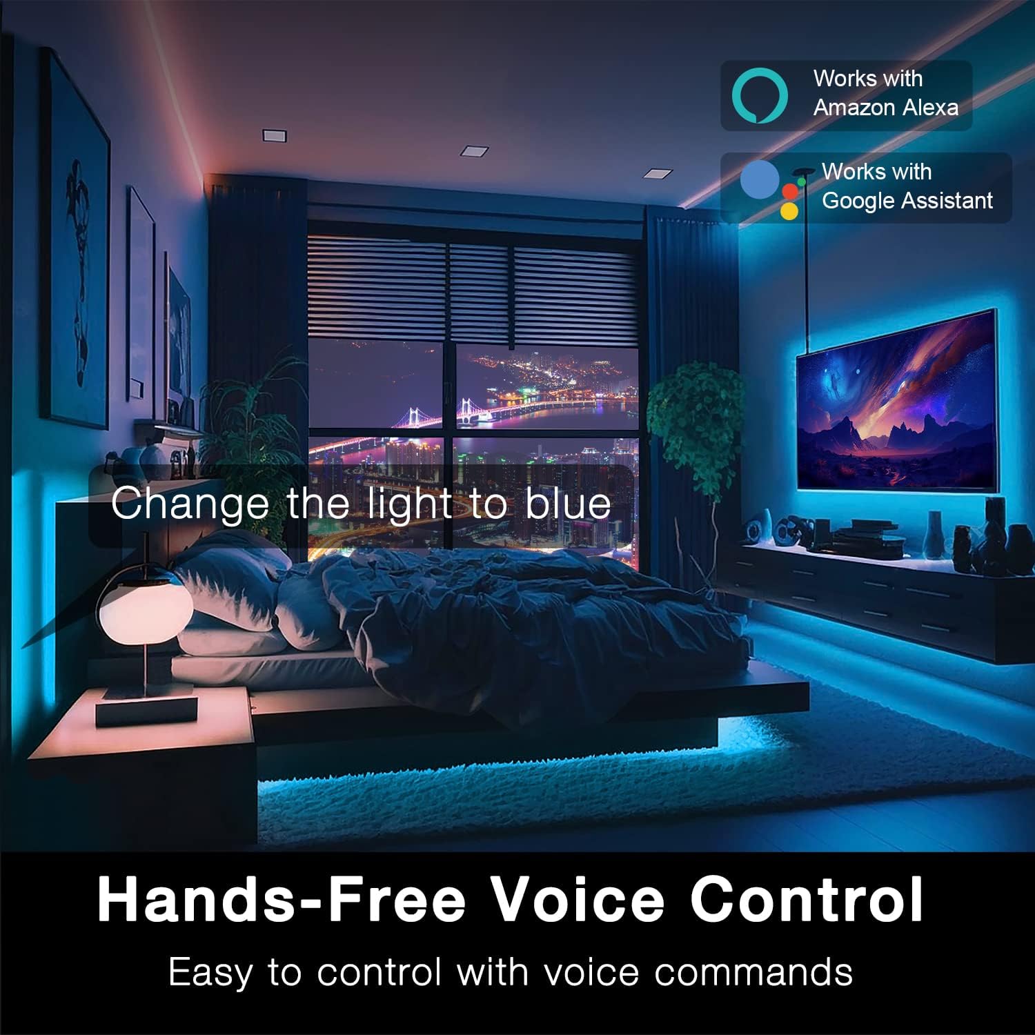 https://m.media-amazon.com/images/I/71NJq1Sm9JL._AC_SL1500_.jpg