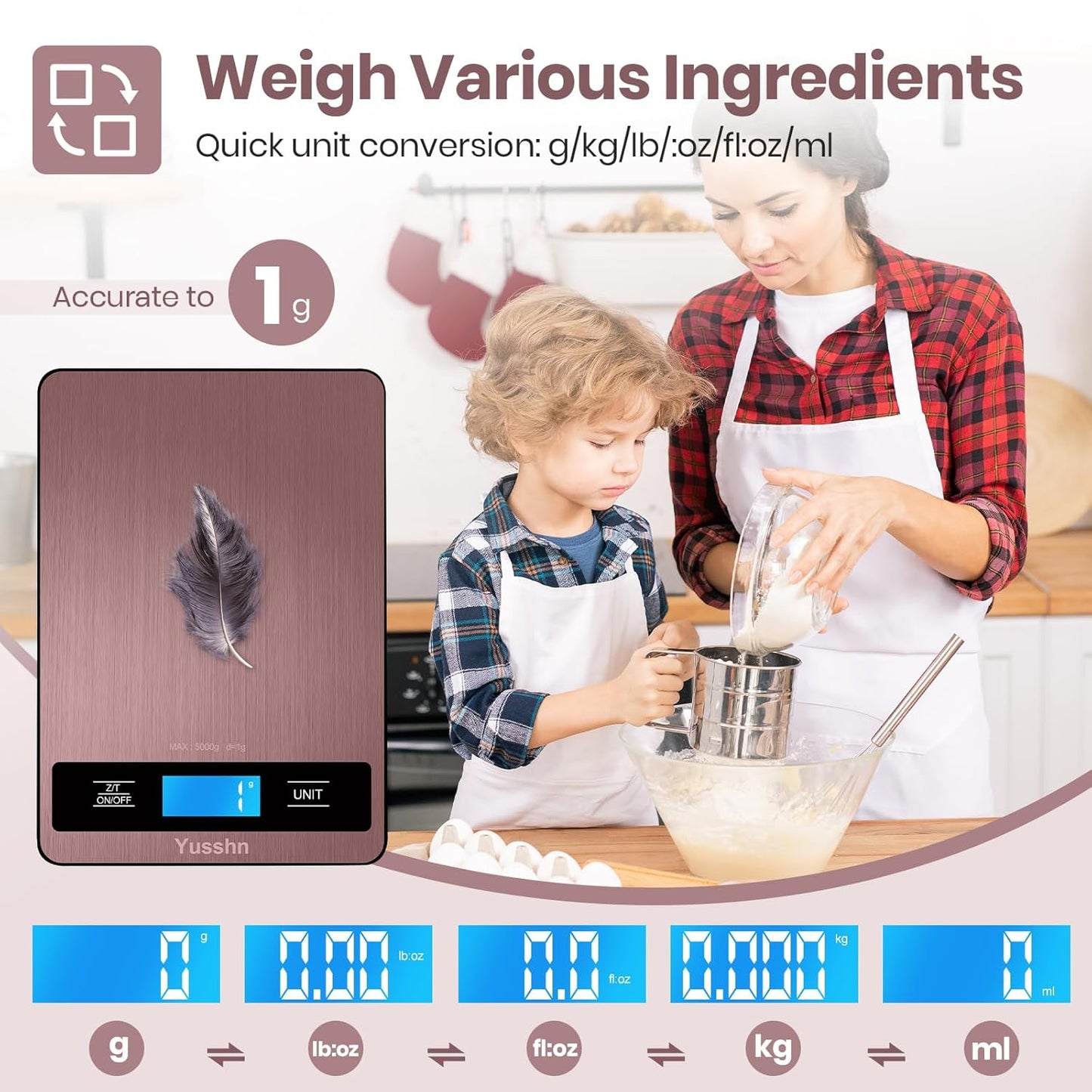 https://m.media-amazon.com/images/I/71T--jWDi5L._SL1500_.jpg
