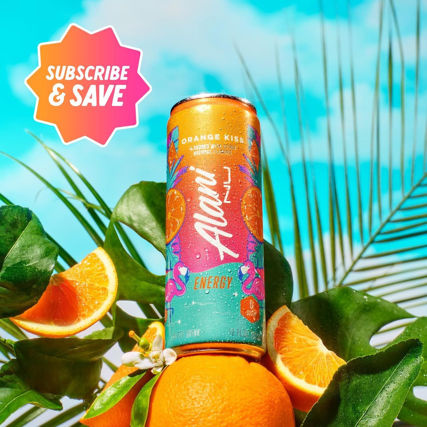 https://m.media-amazon.com/images/I/81beVADWFaL._SL1500_.jpg